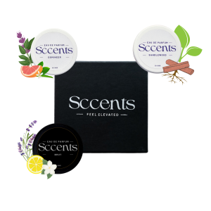 Brut, Domineer & Sandalwood Gift Pack of 3 - Solid Perfume